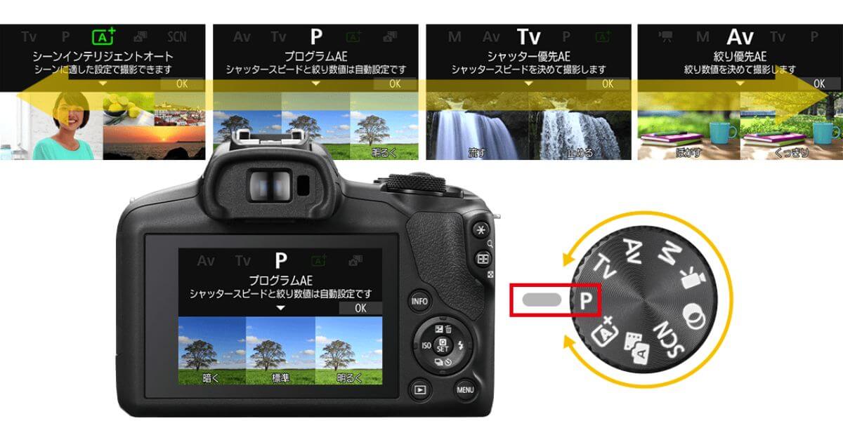 Canon EOS R100は直感的に操作でき、カメラまかせでキレイな写真を撮れる