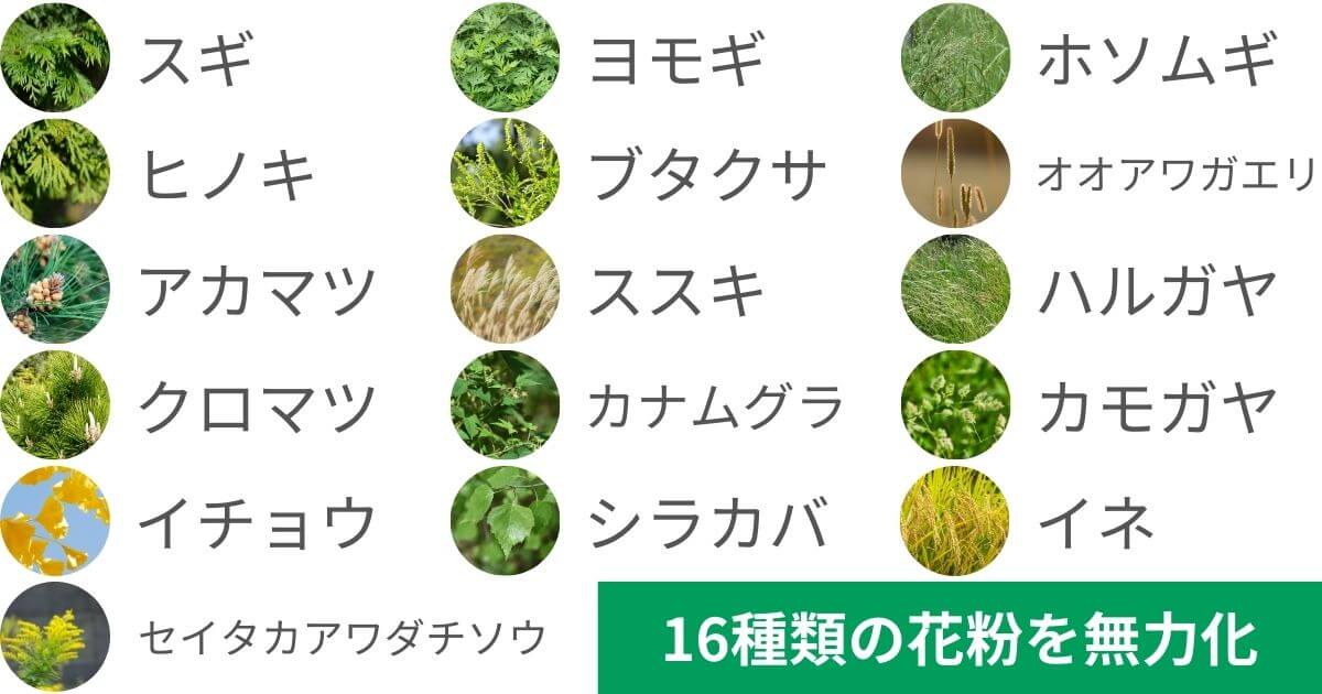 MCK705AとMCK704Aは1年中飛散する全国の花粉16種類を無力化し、お部屋の空気をクリーンに保ちます。