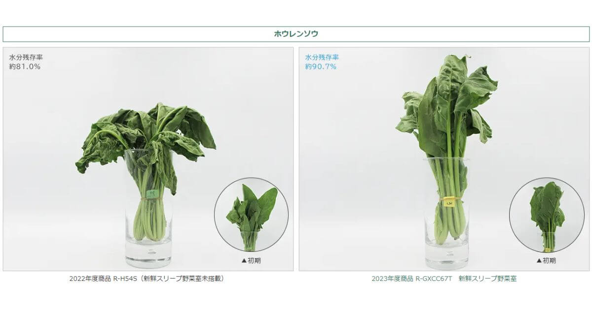 日立冷蔵庫の新鮮スリープ野菜室は野菜のみずみずしさが約10日間持続