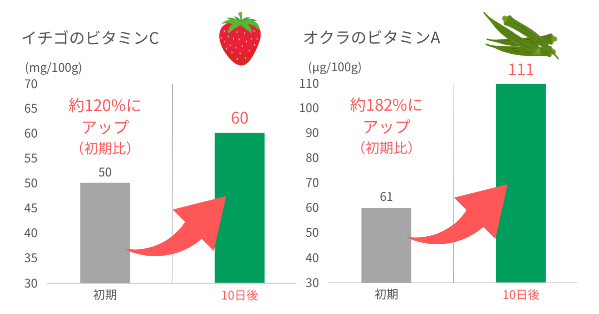 GR-Y450GTとGR-W450GTは食材を野菜室に入れるだけで、大切な栄養素を損なわずに守れる