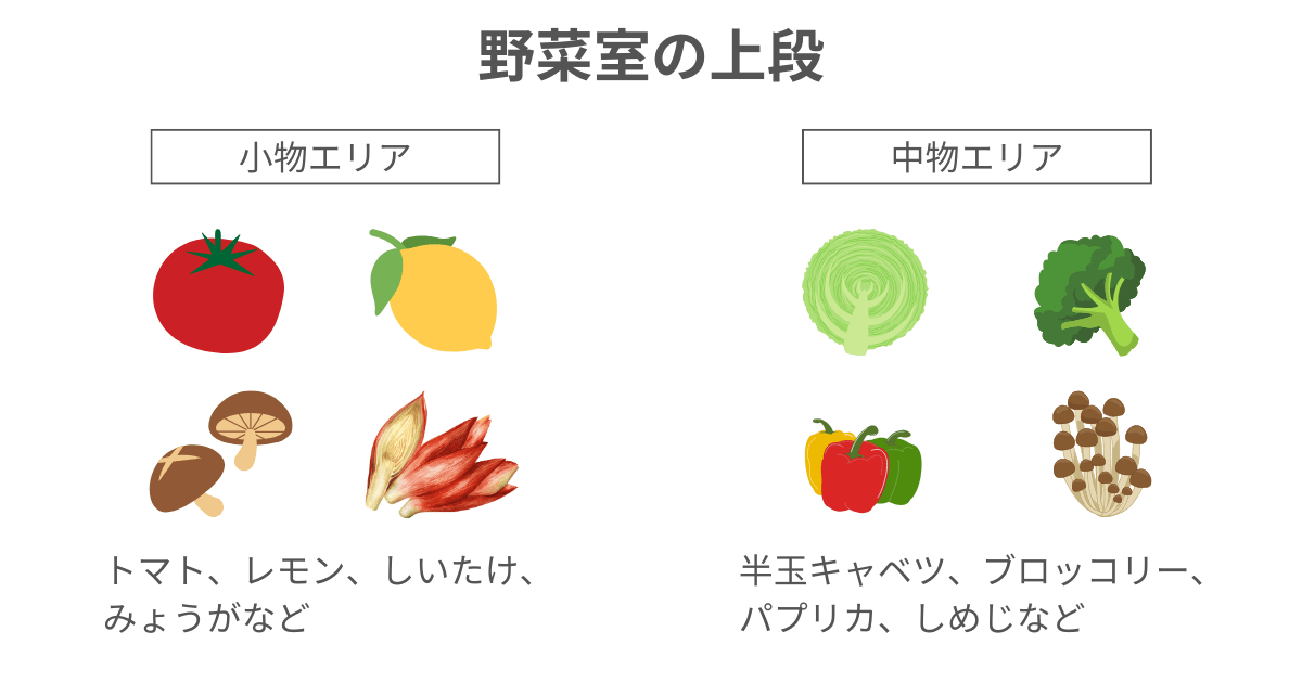 MR-MZ49MとMR-MZ49Kの野菜室は、上段が浅め小物エリアと深めの中物エリアの段違いの形状になっている