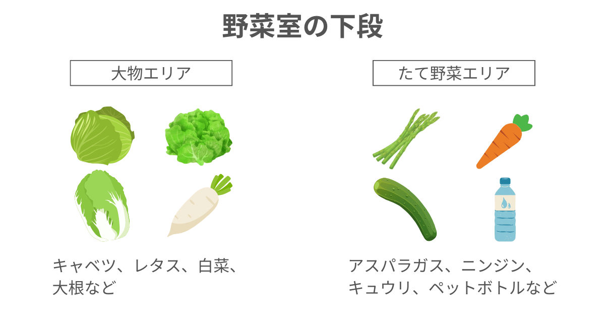 MR-MZ49MとMR-MZ49Kの野菜室は、下段の奥側には大物野菜をたっぷり収納、手前側は長めの野菜を立てて収納できるエリアになっている