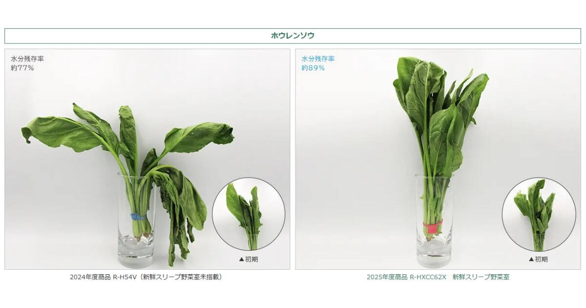 R-HWC54X（R-HW54Vも同等）の新鮮スリープ野菜室は野菜のみずみずしさが約10日間持続